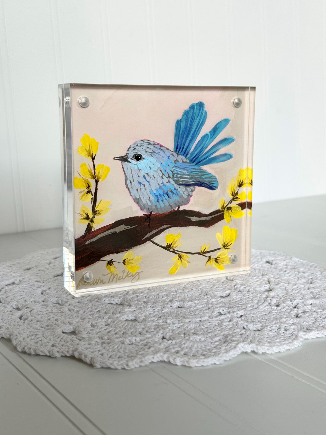 Acrylic Framed Mini Print - Splendid Fairywren Female