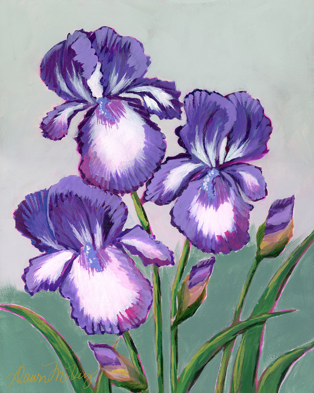 Purple & White Irises